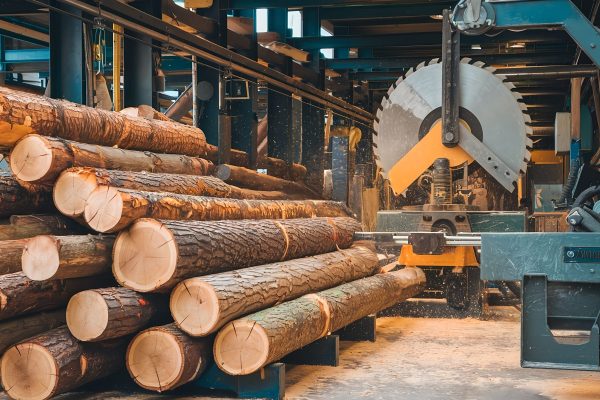 wood log cutting in sawmill